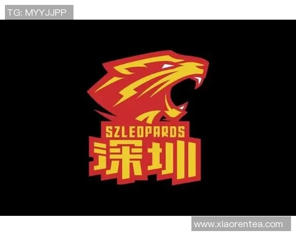 深圳篮球队挑战赛特别报道:从艰辛起步到辉煌成就的奋进之路